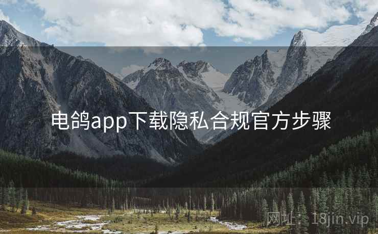 电鸽app下载隐私合规官方步骤