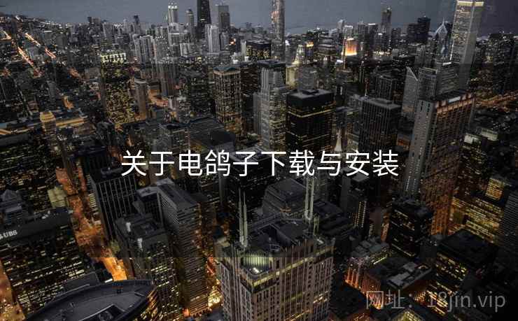 关于电鸽子下载与安装