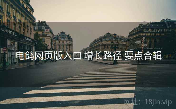 电鸽网页版入口 增长路径 要点合辑