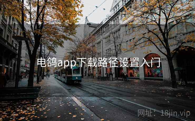 电鸽app下载路径设置入门