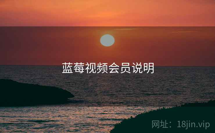 蓝莓视频会员说明