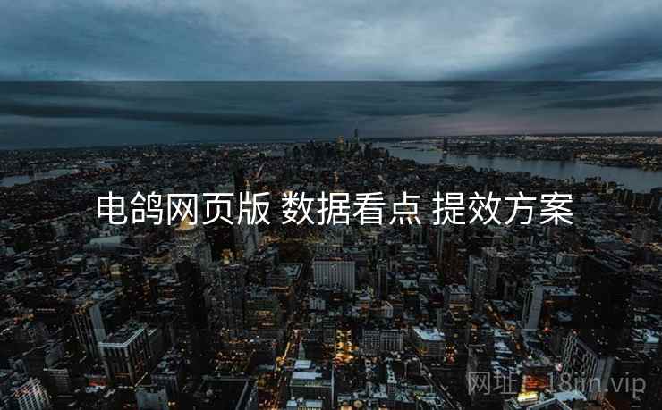 电鸽网页版 数据看点 提效方案