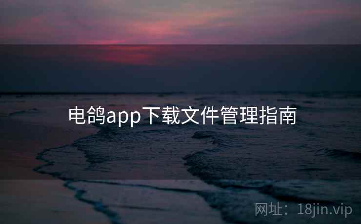 电鸽app下载文件管理指南