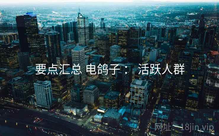 要点汇总 电鸽子 ： 活跃人群