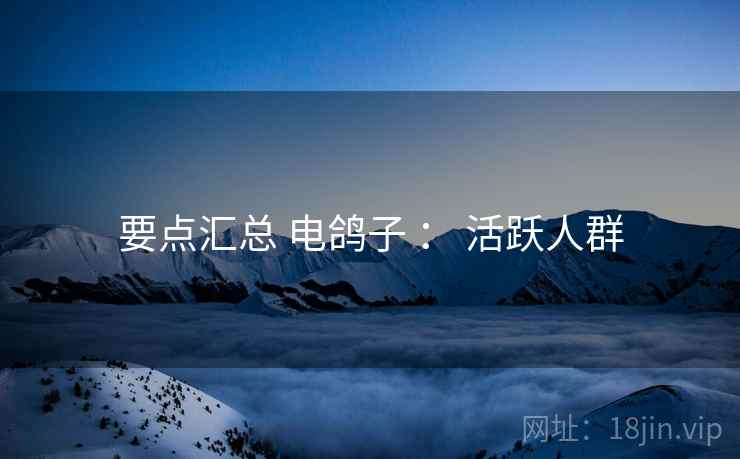 要点汇总 电鸽子 ： 活跃人群