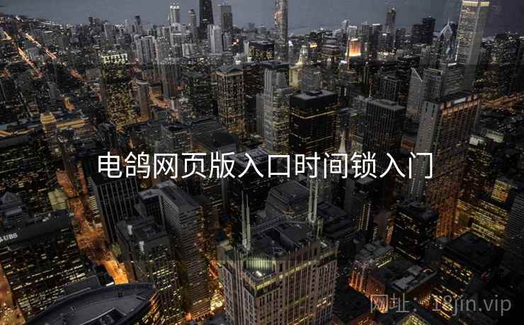 电鸽网页版入口时间锁入门