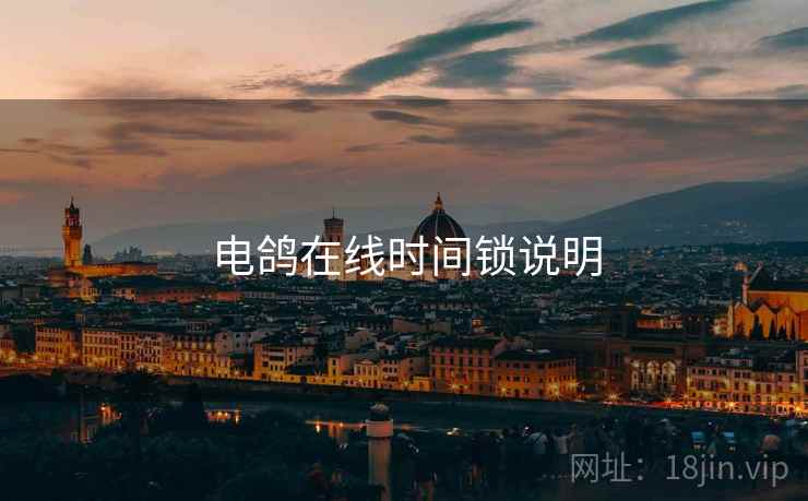 电鸽在线时间锁说明