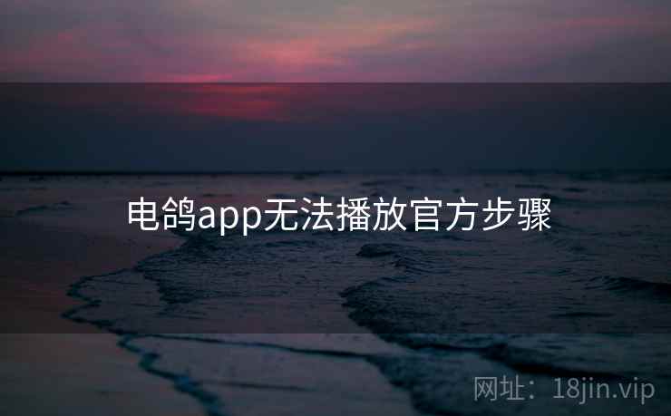 电鸽app无法播放官方步骤
