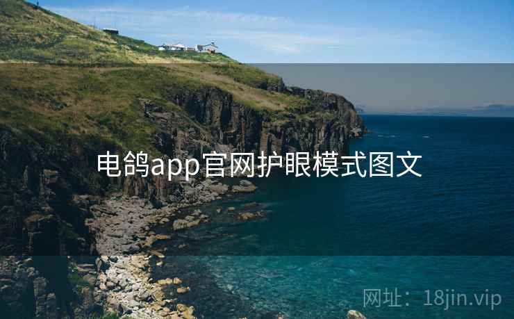 电鸽app官网护眼模式图文