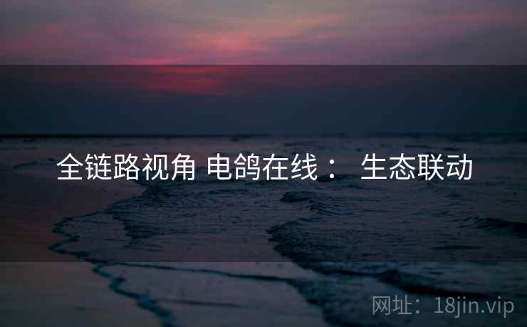 全链路视角 电鸽在线 : 生态联动 全链路视角 电鸽在线 : 生态联动